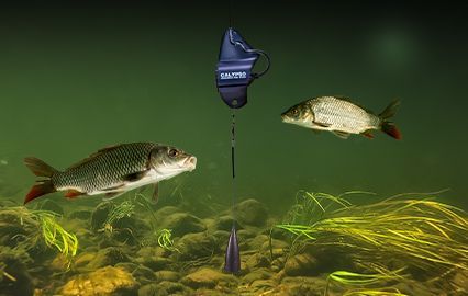 Тестирование донного стабилизатора Calypso